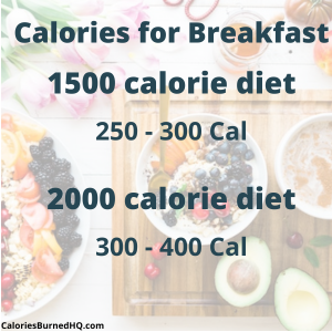 How many calories should I eat to lose weight - breakfast