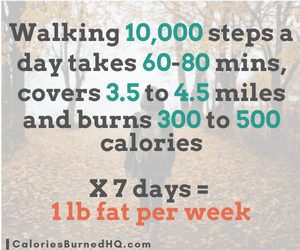 how many steps should you walk a day