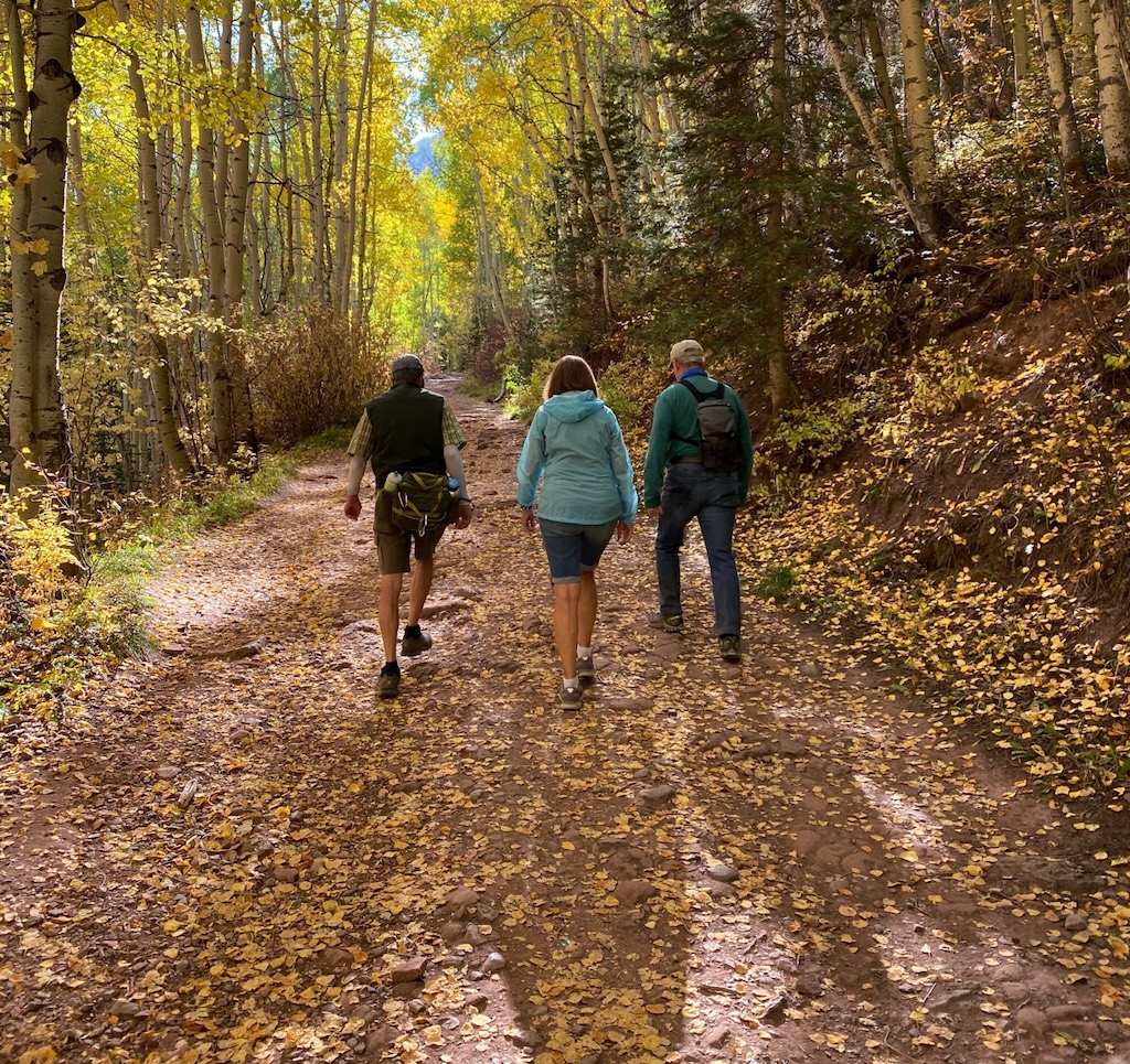 how many miles in 30000 steps