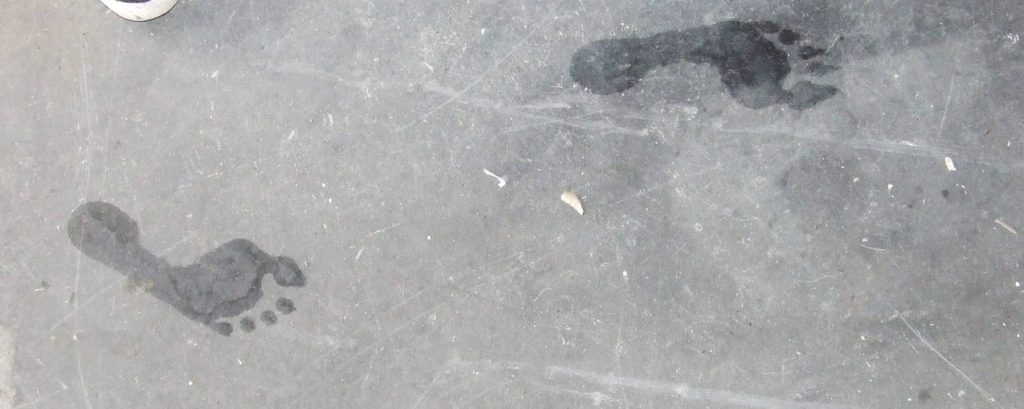 wet footprints for step length to calculate miles